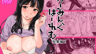 げーみんぐはーれむ総集編Iのネタバレ感想・評価【無料サンプルあり】
